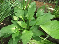 c3503f04-Picture 013.jpg